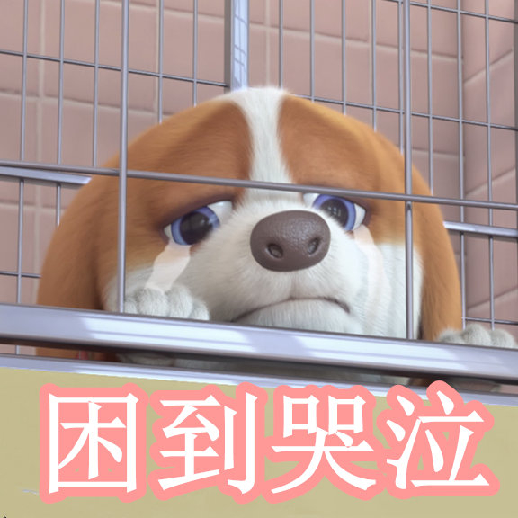 小马大车拉丁裔 小马如果你有其他问题