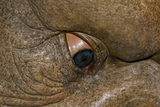 4k视频在线 视频线远程播放4K原盘