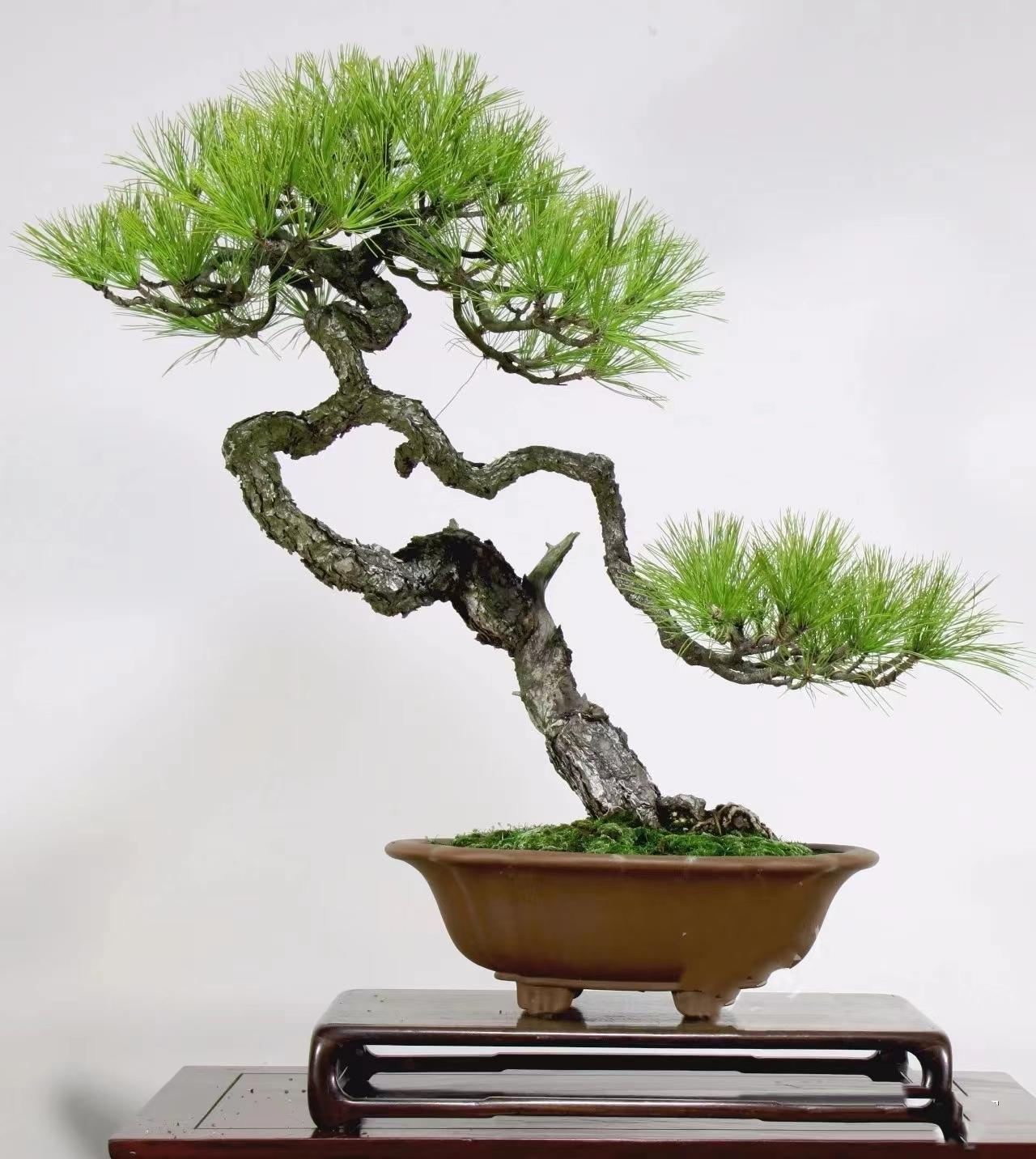 黑料不打烊88吃瓜 烊吃评论和分享功能流畅