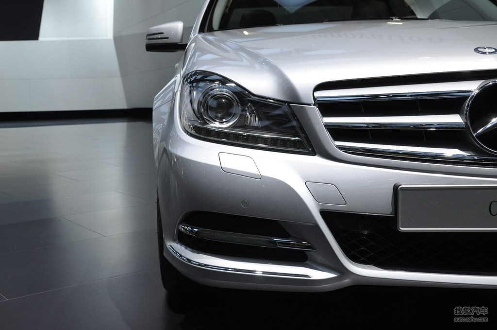 独木鸟 收拢翅膀如合上一封旧信