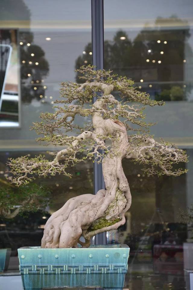 两男插一女群交视频