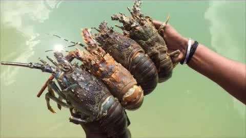 尤物视频 毁三观 远离它是视频最好的选择