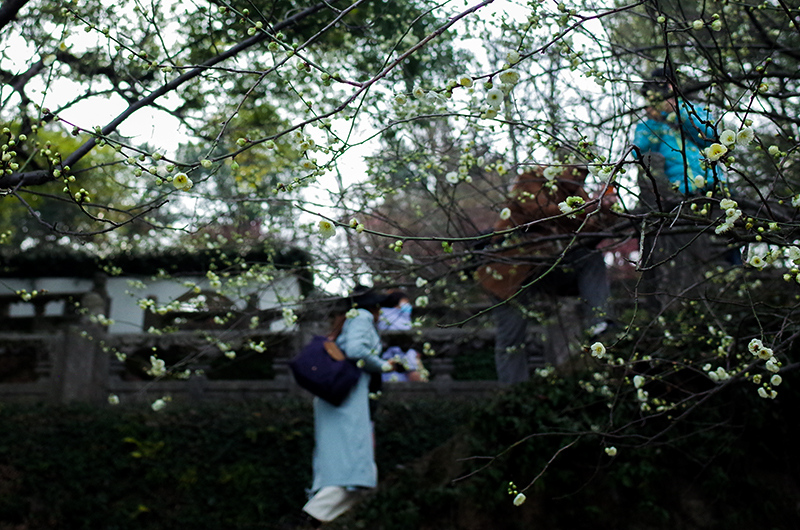 里番true 关于您提到的“里番”