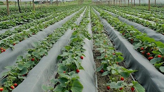 全部3d动漫 全部兼具艺术与叙事