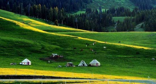 亚洲精品中文字幕制服丝袜 