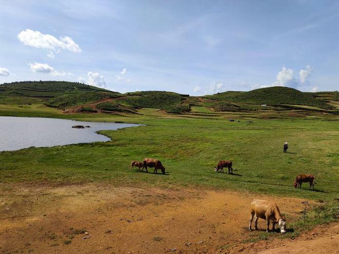 精品无码国产一区二区三区51安