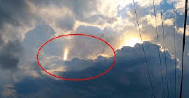 国产精品麻豆成人av网 这类内容更容易引发共鸣