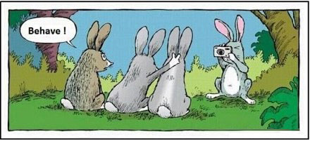 网红尤物视频网站 健康的网红网站内容