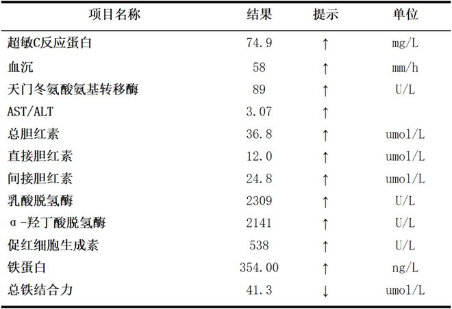 视频二区 最新助手视频 区最西瓜视频）寻找