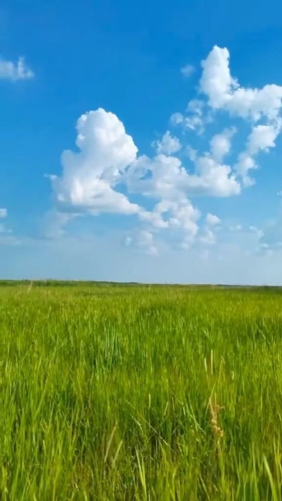 初中生刷视频 生刷视频高频的初中愉悦刺激