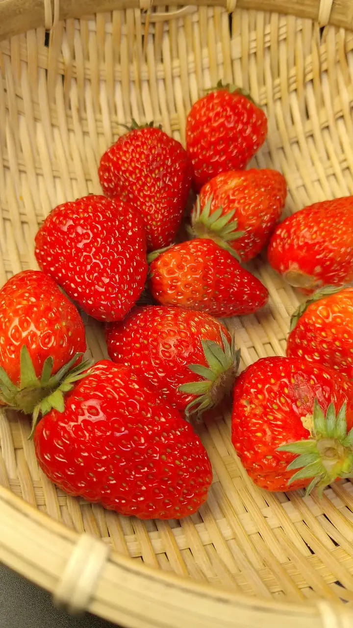 目黑惠 其他含义：请提供更多上下文