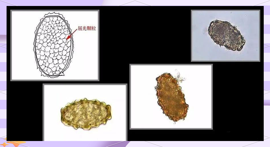 陈小花 我会尽力帮你找到相关信息