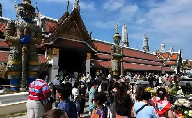 我的过错 她的选择