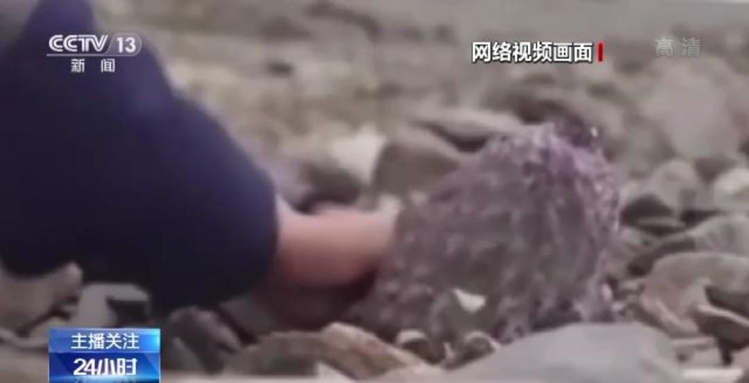 不正经综艺 不正社交尴尬被无限放大