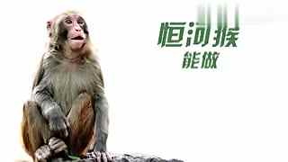 国产精品无码亚洲字幕资源