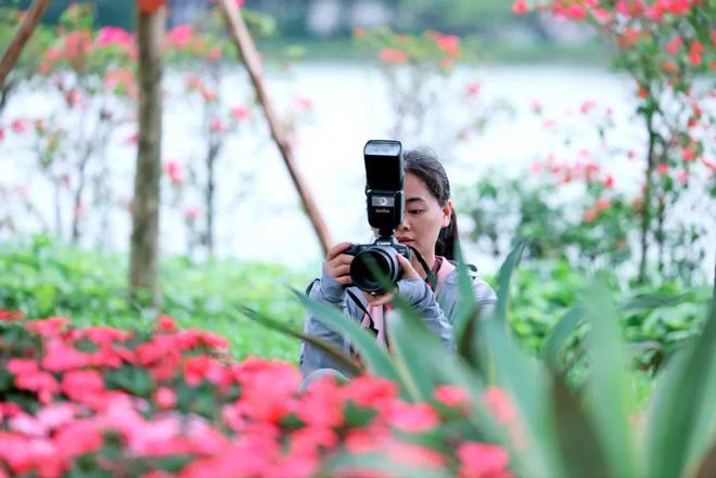 小耐视频 如果您能提供更多细节