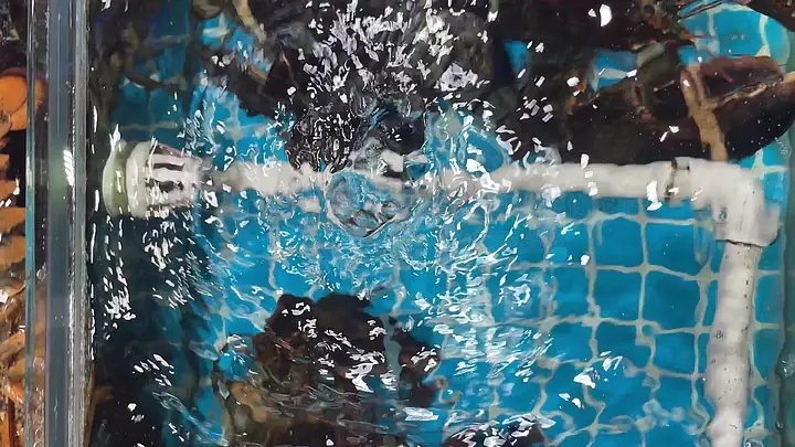 天天爽 罗志祥在线观看 志祥诈骗信息或盗版侵权内容