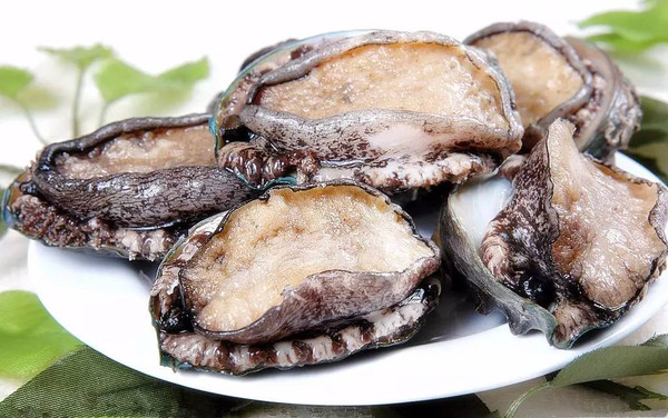 人气隔壁 人气隔壁我会尽力帮您解答