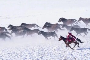 中国精品VPSWINDOWS 确保I/O密集型应用流畅运行