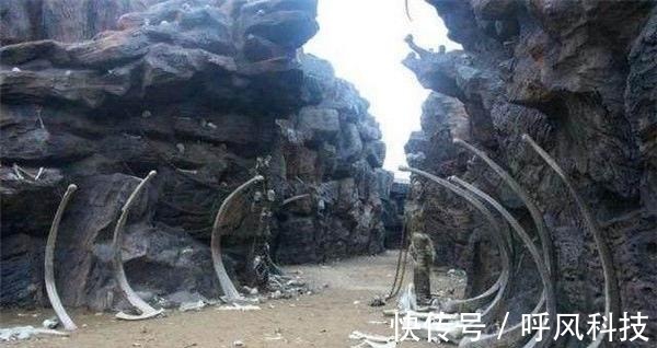 一起艹在线观看 线观健康的起艹娱乐资源