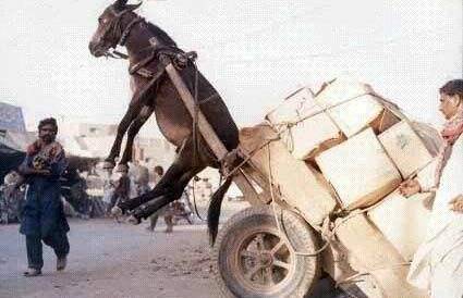 综合福利 在人才竞争中脱颖而出